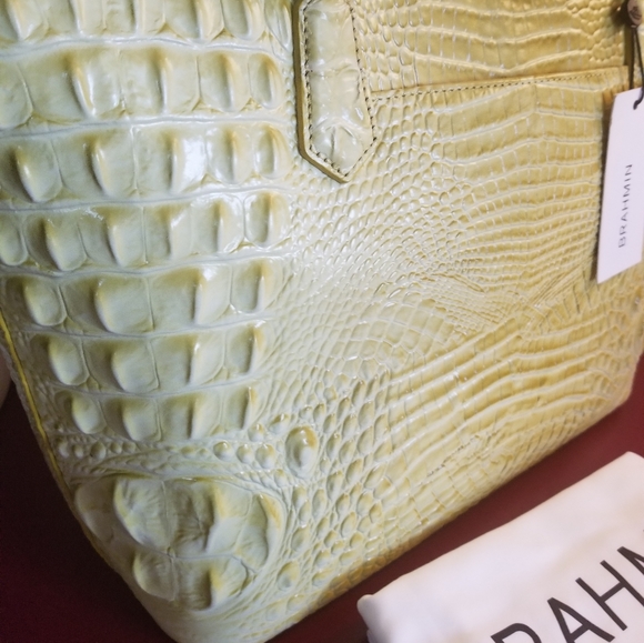 Brahmin Lemonade Medium Asher &  Wallet Set - Picture 8 of 16